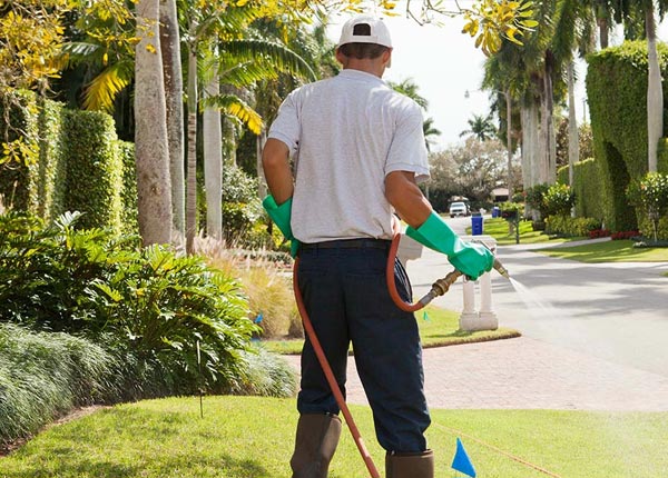 About Runnells IA Pest Control